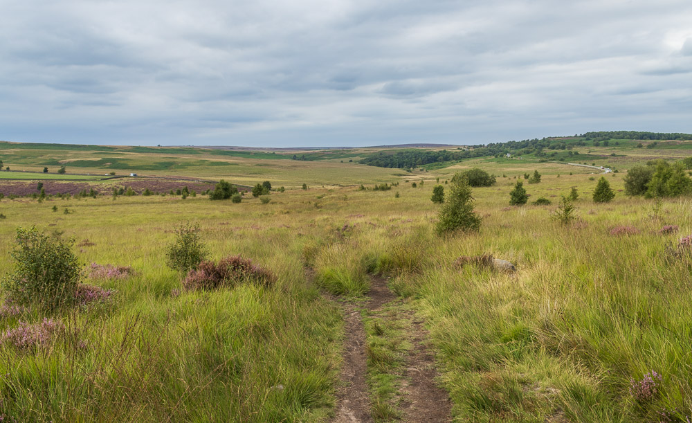 Big Moor